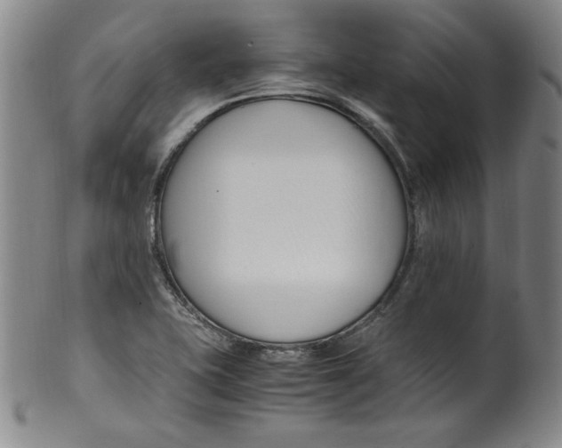 X0000100381415200806271324