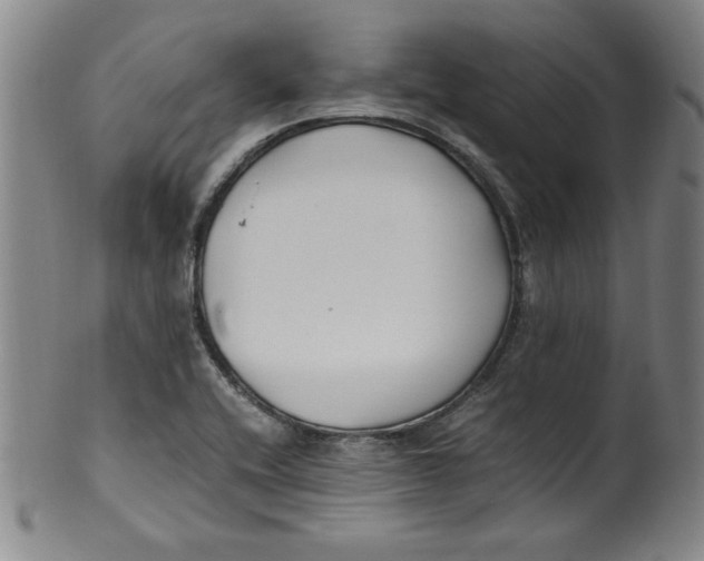 X0000100381416200806271324