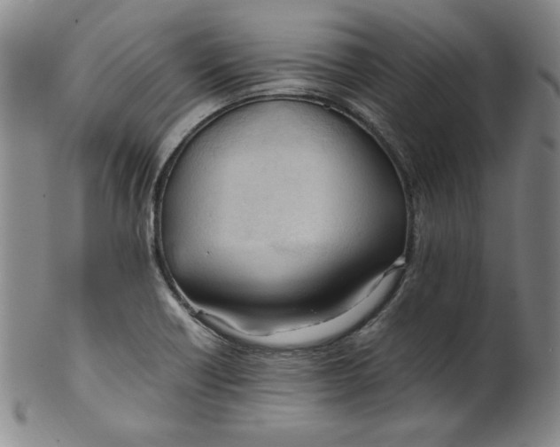 X0000100381418200806271324