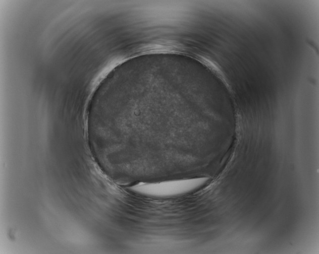 X0000100381419200806271324