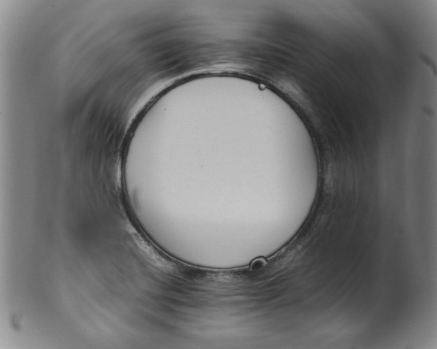 X0000100381420200806271324