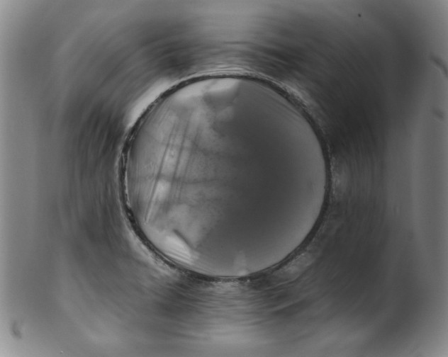 X0000100381422200806271324