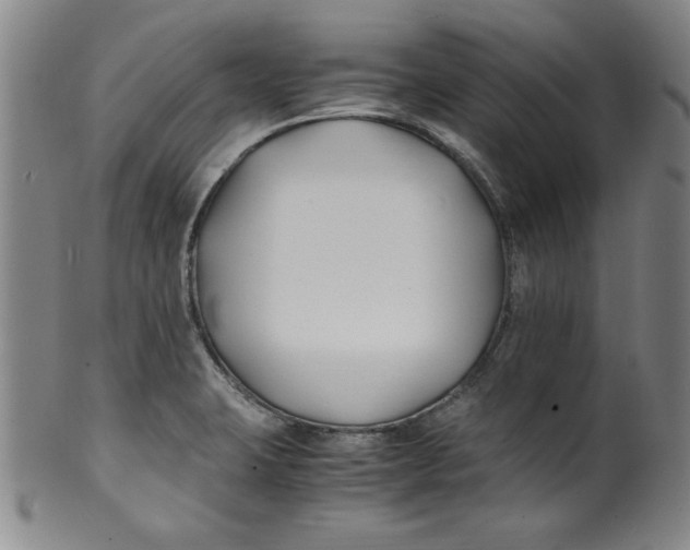 X0000100381423200806271324