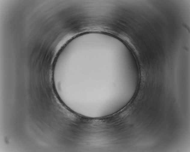 X0000100381424200806271324