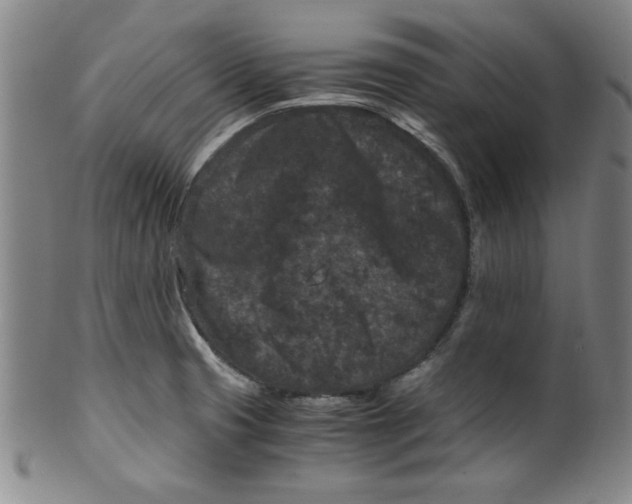 X0000100381425200806271324