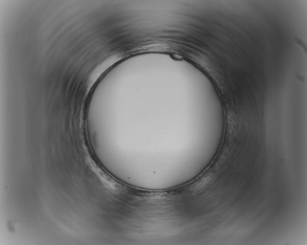 X0000100381426200806271324