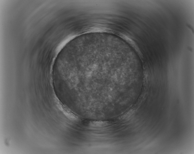 X0000100381427200806271324