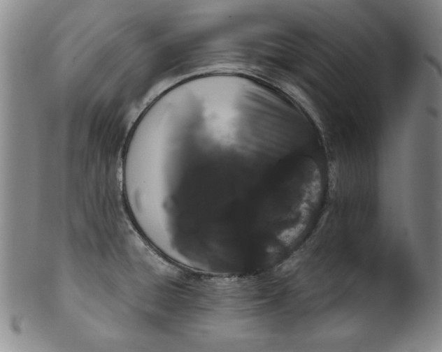 X0000100381428200806271324