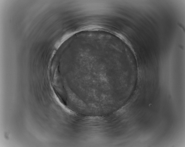 X0000100381429200806271324