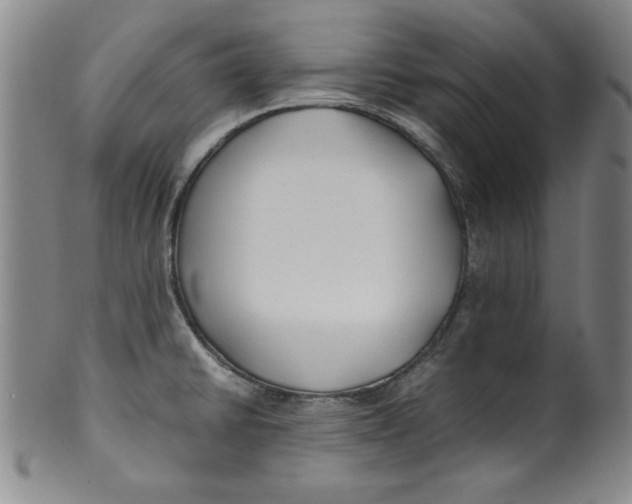 X0000100381430200806271324