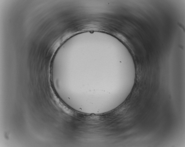 X0000100381431200806271324