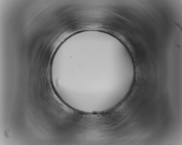 X0000100381432200806271324