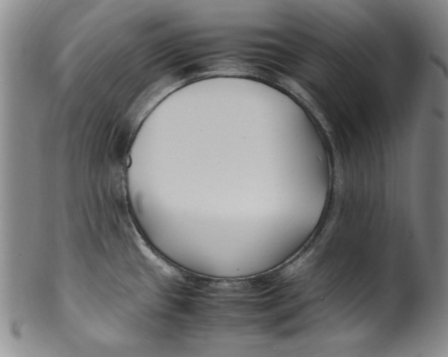 X0000100381433200806271324