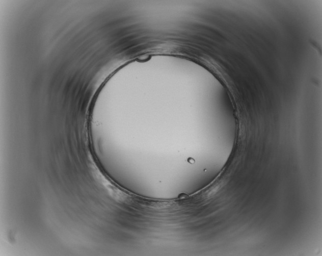 X0000100381434200806271324
