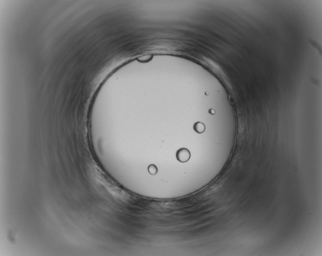 X0000100381435200806271324