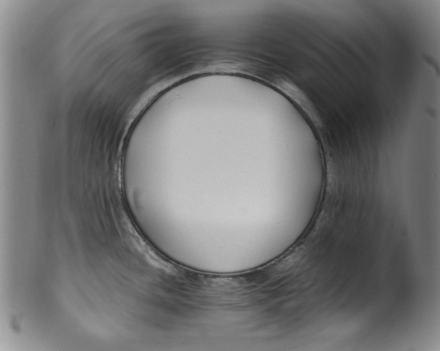 X0000100381436200806271324