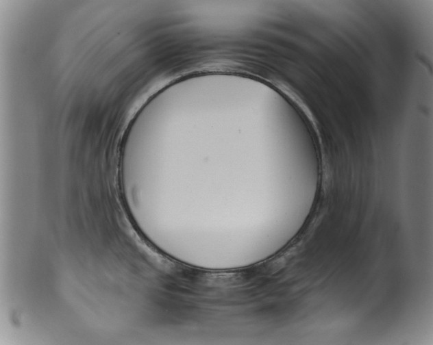 X0000100381437200806271324