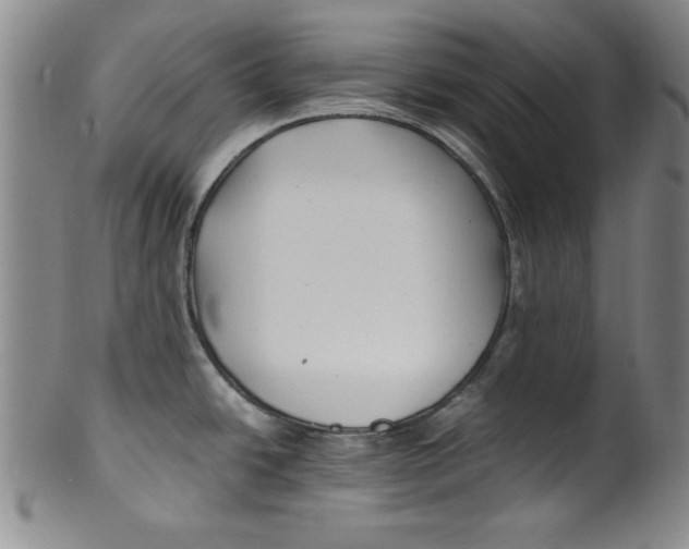 X0000100381438200806271324
