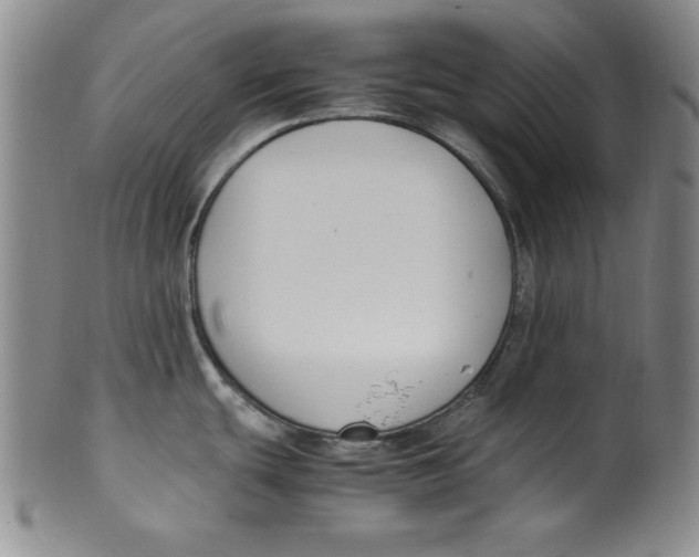 X0000100381439200806271324