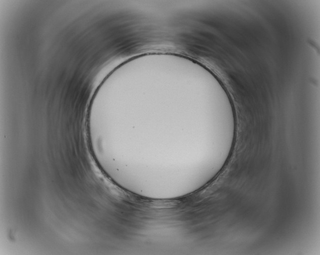 X0000100381440200806271324