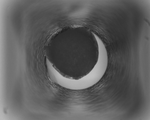 X0000100381441200806271323