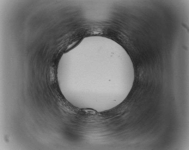 X0000100381442200806271323