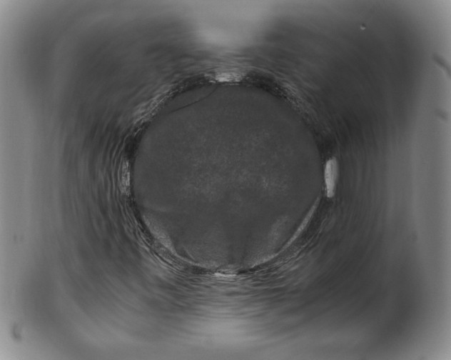 X0000100381443200806271323