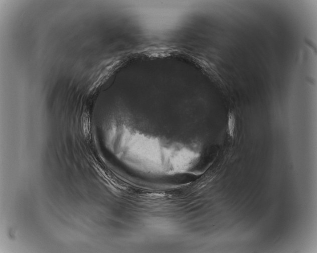 X0000100381444200806271323