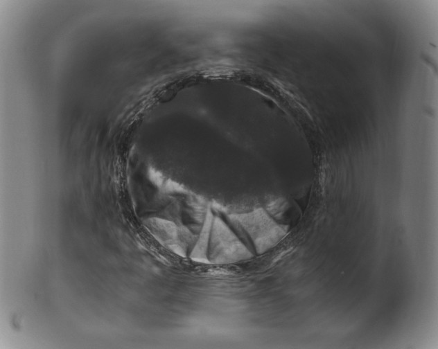 X0000100381445200806271323