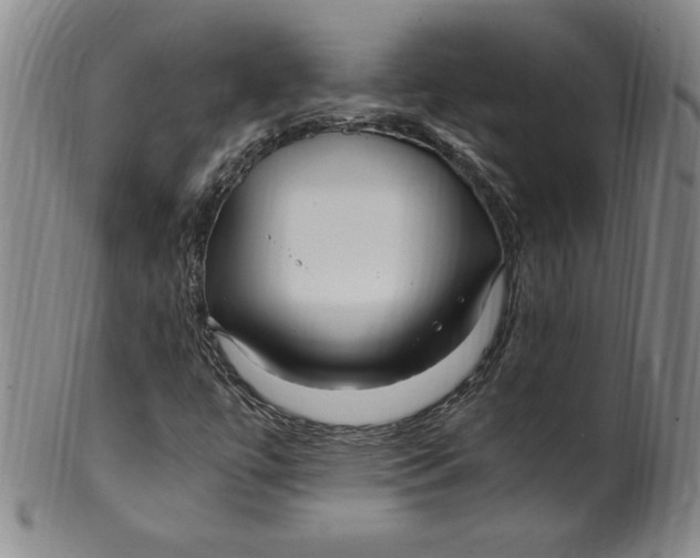 X0000100381447200806271323