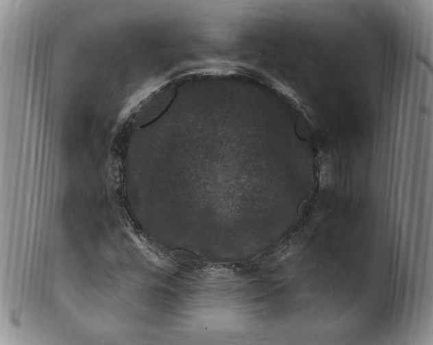 X0000100381448200806271323