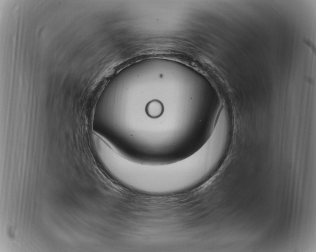 X0000100381449200806271323