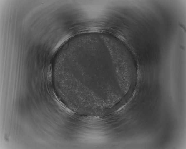 X0000100381450200806271323