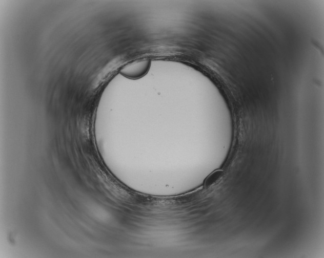 X0000100381451200806271323