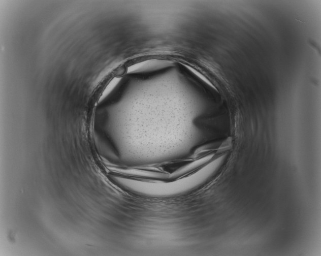 X0000100381452200806271323