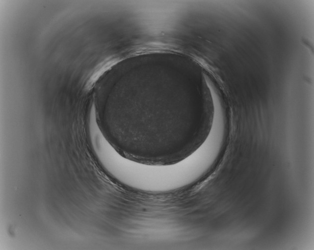 X0000100381453200806271323