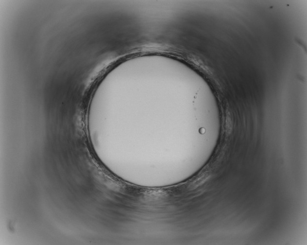 X0000100381454200806271323