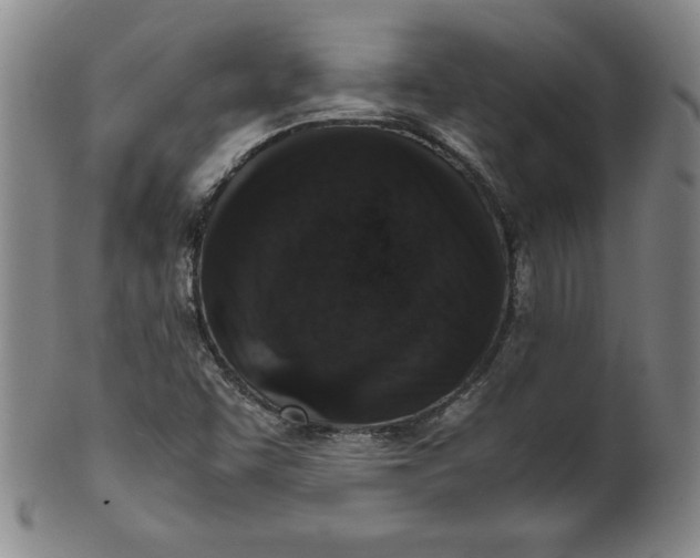 X0000100381455200806271323