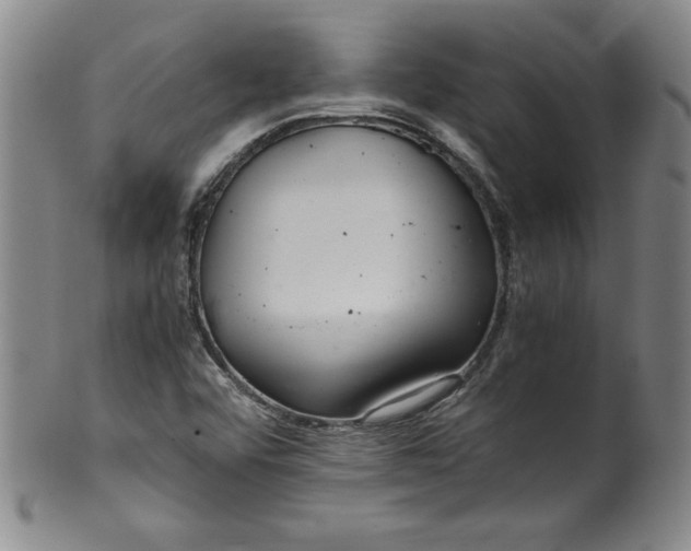 X0000100381456200806271323