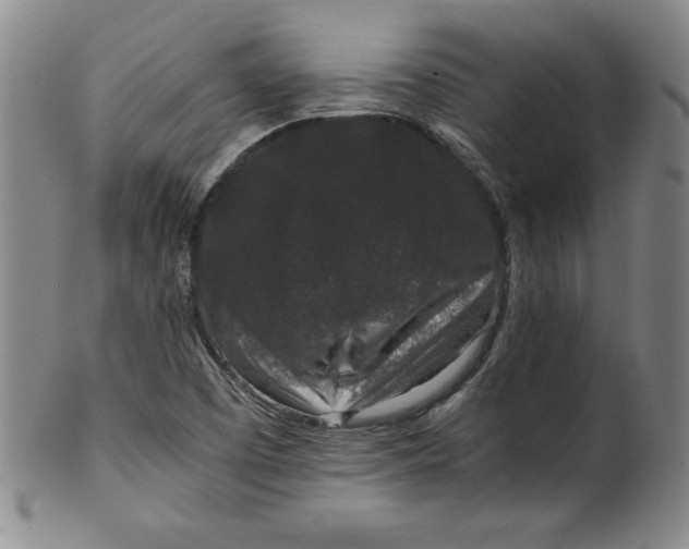 X0000100381457200806271323