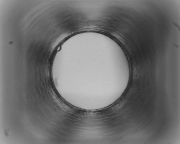 X0000100381458200806271323
