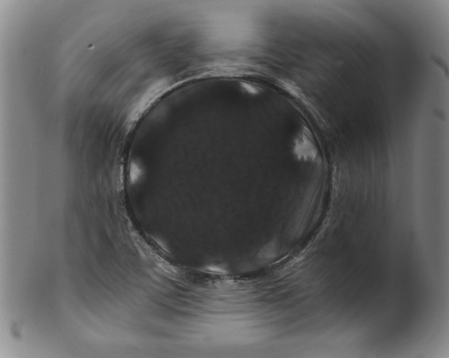 X0000100381459200806271323