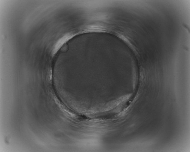 X0000100381461200806271323