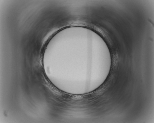X0000100381462200806271323