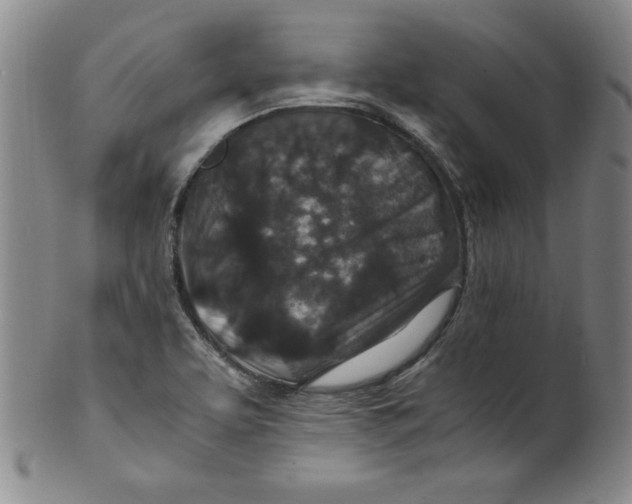 X0000100381463200806271323