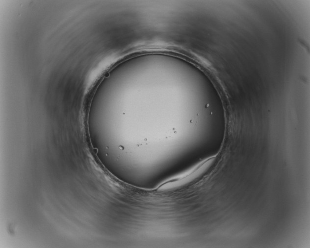 X0000100381464200806271323