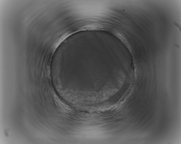 X0000100381465200806271323