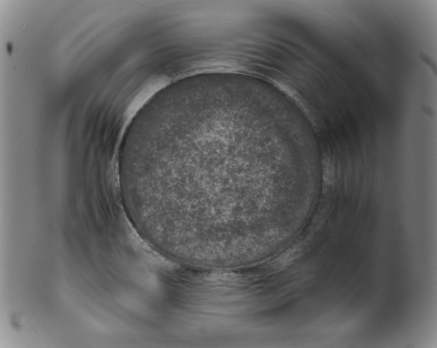 X0000100381466200806271323