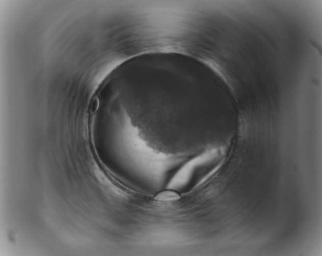 X0000100381468200806271323