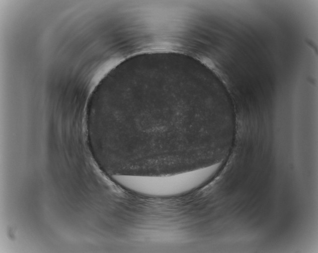 X0000100381469200806271323
